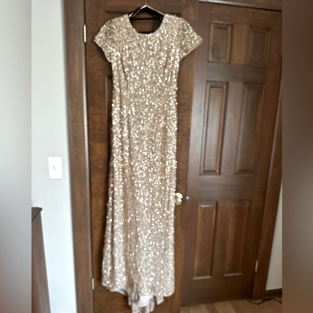 Stunning Adrianna Papell Champagne Sequined Full-Length Dress Size 10